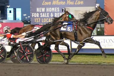 Harness:  Sabonis to join stallion ranks in Indiana starting next year