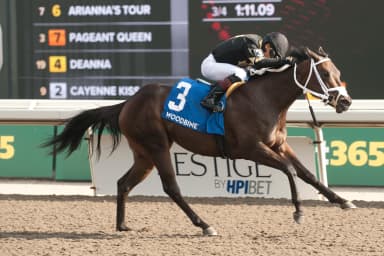 Souper Diva wins Victorian Queen; Silver Is Best takes Bull Page