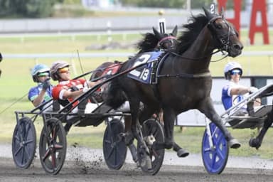 Harrah's Hoosier Park:  Doherty, Haughton Memorials upcoming on Friday