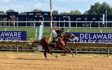 Probably Dreaming ends layoff with First State Dash triumph
