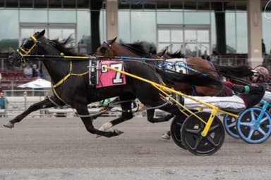 Delaware County Fair: Field is set for 80th Little Brown Jug