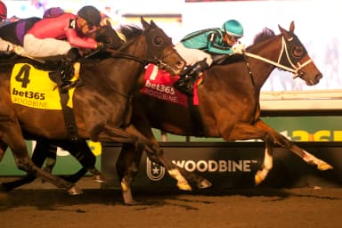 Nobals repeats with Kennedy Road victory