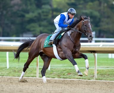 Sovereignty returns to work tab with half-mile breeze