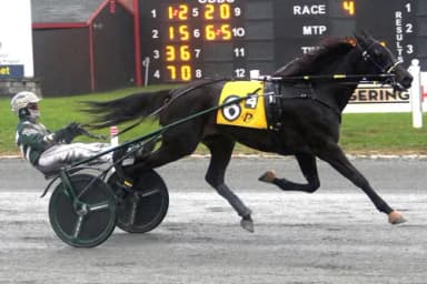 Harness: Kelley preparing his Massachusetts-breds for Oak Grove and beyond
