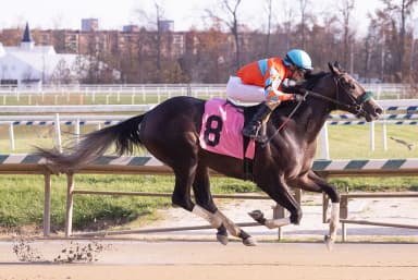 Balboa has easy time with James F. Lewis III Stakes