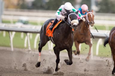 Sultana scores in stakes debut with Maple Leaf victory