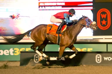 Fire and Wine ($36.40) adds Lasix, notches Coronation Futurity upset