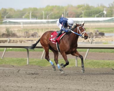 Shane’s Wonder remains unbeaten with emphatic score in Wait For It