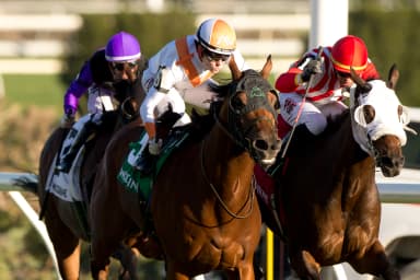 Rapid Test wins Overskate, caps two-stakes weekend sweep for jockey Adams