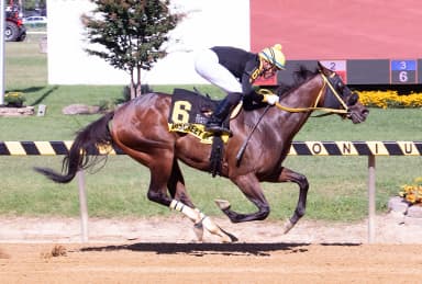 Discreet Ops survives inquiry, takes Shine Again Stakes
