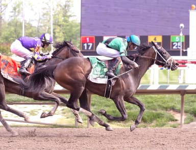 Ivy Girl ($55.40) surges late in Weber City Miss Stakes