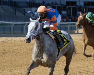Scalable steps up again with Top Flight triumph