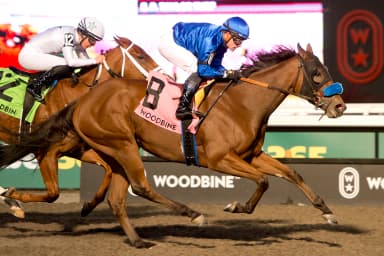 Pondering prevails in Bessarabian, spoils Caitlinhergrtness' final race at Woodbine