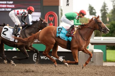 Elysian Field leads Casse's top-three sweep in Seaway Stakes
