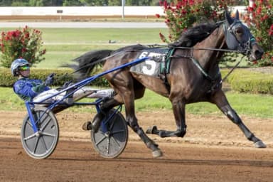 Pocono: Yo Tillie looks to continue streak in Delmonica Hanover