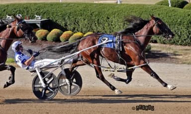 Delaware County Fair:  Speed on display in Ohio Breeders Championships