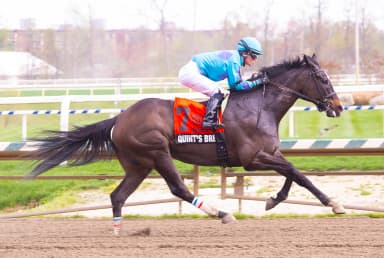 Quint's Brew has little trouble with Frank Y. Whiteley Stakes
