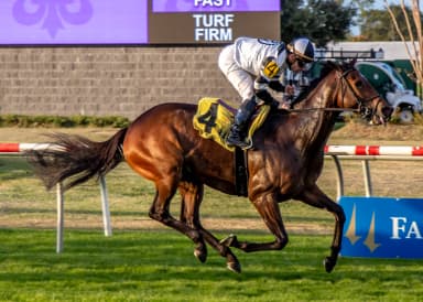 Big Trouble has no trouble with Pan Zareta Stakes