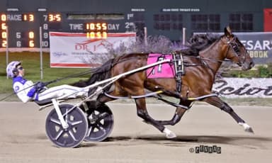 Scioto:  Page, Burke dominant in Ohio Sires Stakes