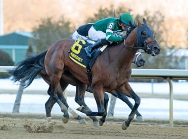 Iron Honor takes step forward with game victory in Gotham
