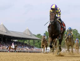 Englishman equals track record with dazzling Woody Stephens romp