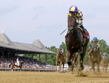 Englishman equals track record with dazzling Woody Stephens romp