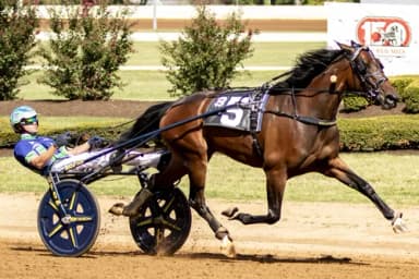 Harness:  Kadena brings $1.2 million during Friday's mixed sale in Harrisburg