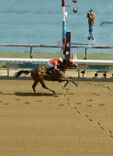 Rice off to red-hot start at spring meet as Yo Daddy takes Excelsior