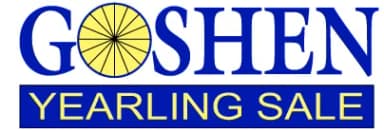 Harness: Goshen Yearling Sale offers strong bloodline upgrade for 2025