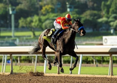 Breeders' Cup Juvenile Fillies: La Wally ready for her big moment