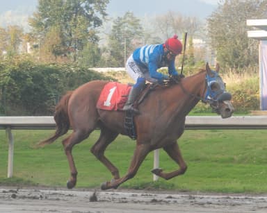Debrusk overcomes slow start to win Ascot Graduation