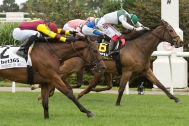 Artemus Citylimits ($40.40) beats the crowd in Vice Regent