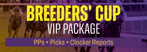 Breeders' Cup VIP Package