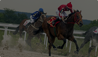 Nine Part powers home for another victory in Costa Rising