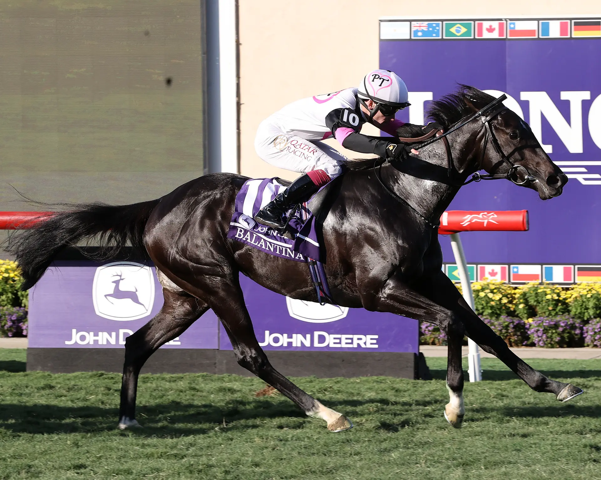 Breeders' Cup Juvenile Fillies Turf: Balantina shocks for Donnacha O'Brien's first win