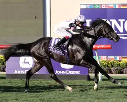 Breeders' Cup Juvenile Fillies Turf: Balantina shocks for Donnacha O'Brien's first win