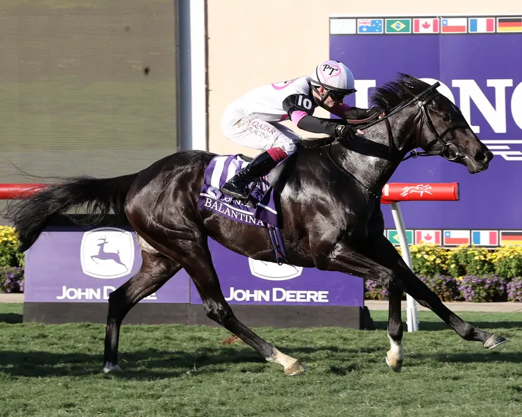 Balantina.Juvenile Fillies Turf.10-31-25.SR_.jpg
