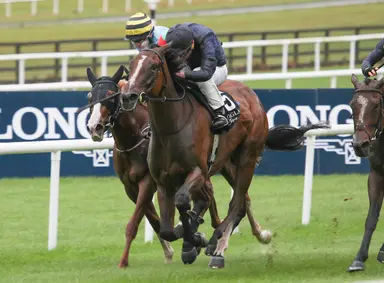 Sodden ground puts Prix Morny up for grabs
