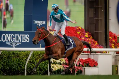 Romantic Warrior, Ka Ying Rising, Voyage Bubble top LONGINES Hong Kong International Races selected horses