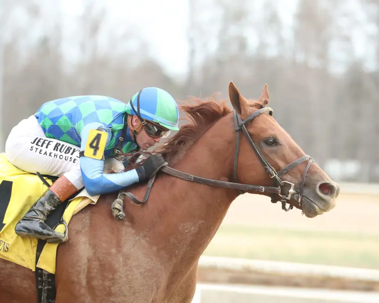 TOUR PLAYER - The Inaugural Running of The Royal New Kent Stakes - 03-14-26 - R05 - Colonial Downs - Tight Finish 01.jpg