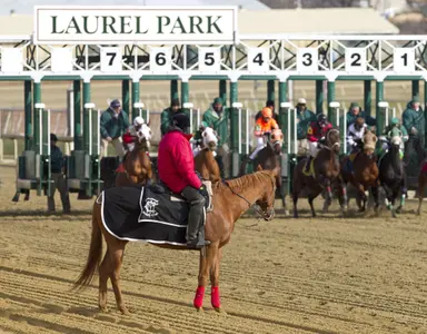 DRF's Horse Racing Playbook for Friday, November 10, 2023