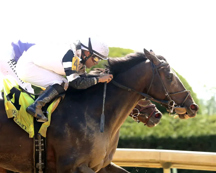 TROUBLE CALLING - The Lafayette - 04-03-26 - R05 - Keeneland Race Course - Finish 03 - Cady Coulardot.jpg