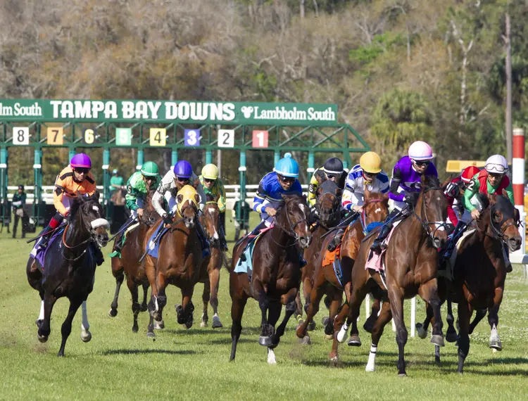 Tampa Bay Downs01.2-18-23.TK_.jpg