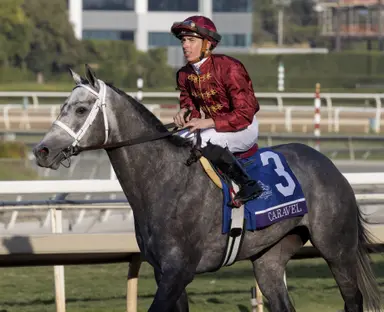 Caravel purchased by John Stewart; will be bred to Frankel