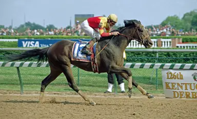 Former Derby winner Fusaichi Pegasus dies at 26