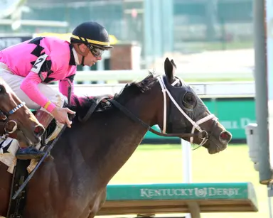 Hit Parade moves back to turf for Cleopatra