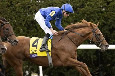 Keeneland September sale features some rare international sire power