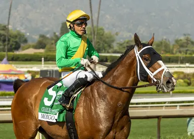 McCarthy has stakes options aplenty