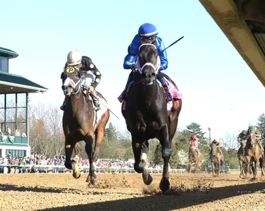 Kentucky Derby pedigree profile: Encino