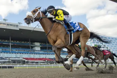 Highwaytothemoon holds off Military Time in Queenston Stakes